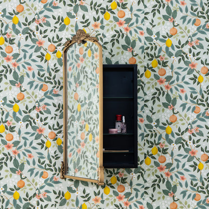 Adeline Medicine Cabinet
