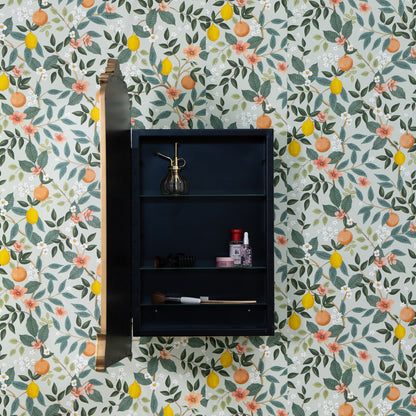 Adeline Medicine Cabinet